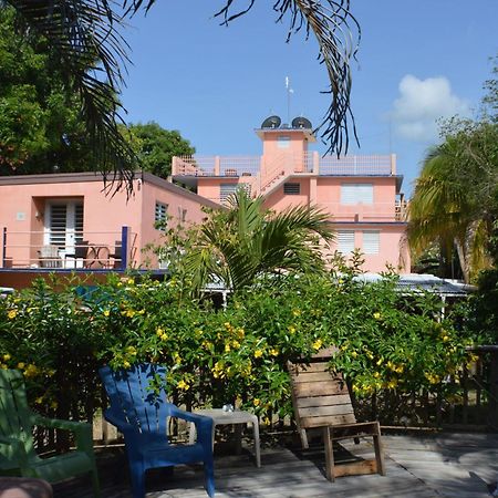 Esperanza Inn Guesthouse (Adults Only) Vieques Exteriör bild