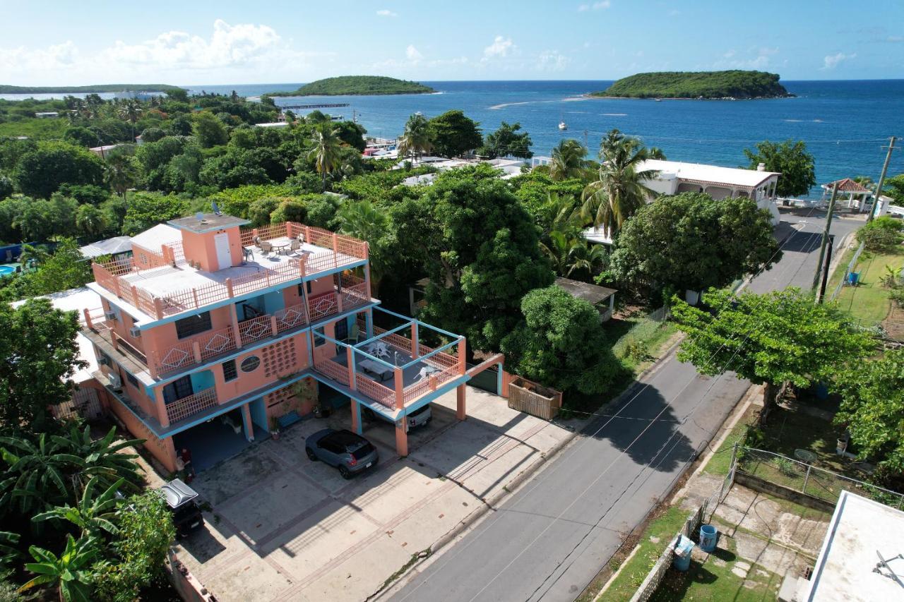 Esperanza Inn Guesthouse (Adults Only) Vieques Exteriör bild
