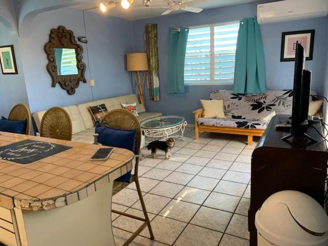 Esperanza Inn Guesthouse (Adults Only) Vieques Exteriör bild