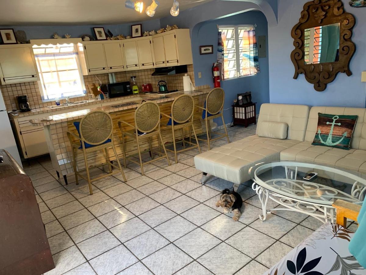 Esperanza Inn Guesthouse (Adults Only) Vieques Exteriör bild