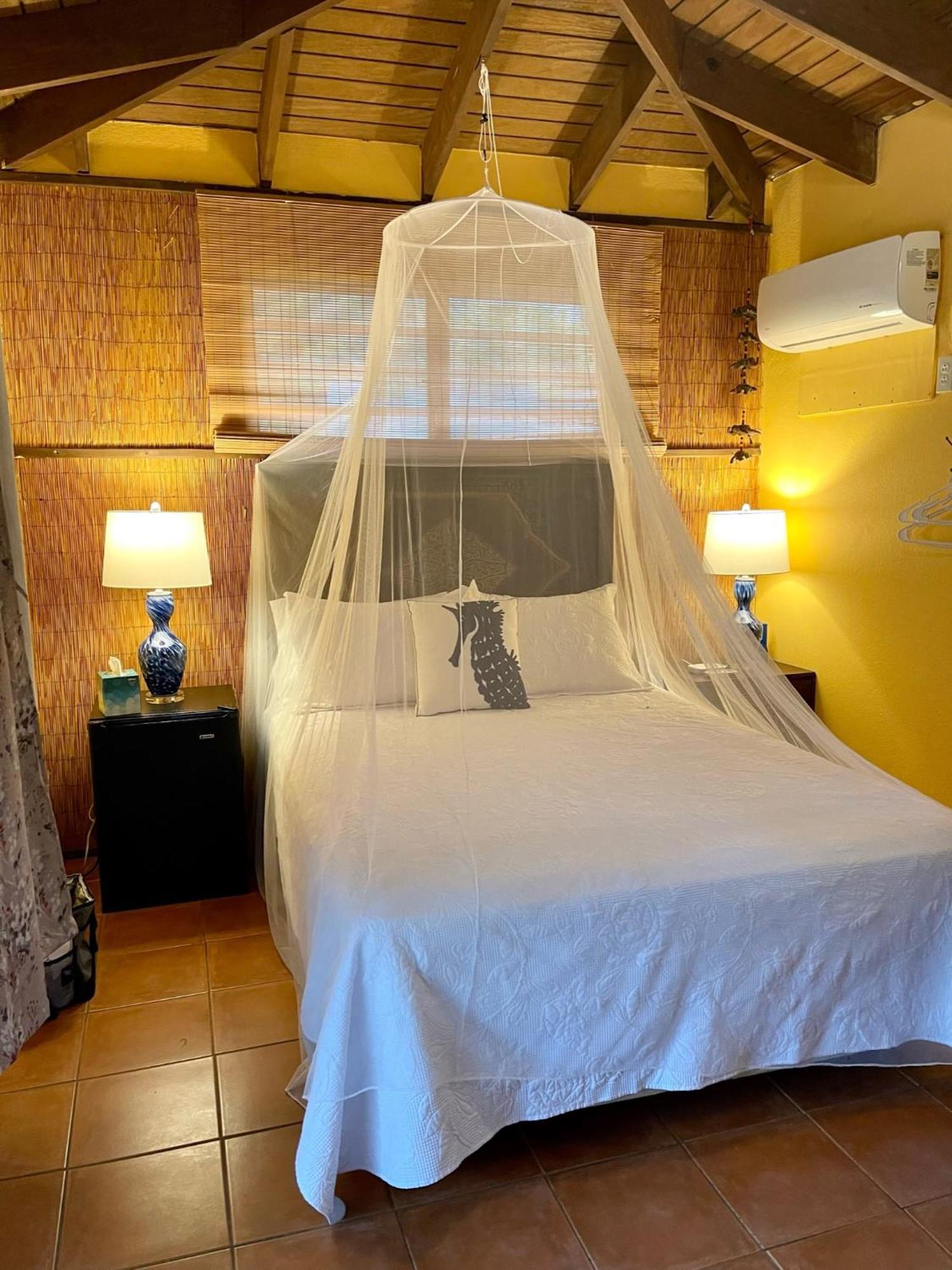 Esperanza Inn Guesthouse (Adults Only) Vieques Rum bild