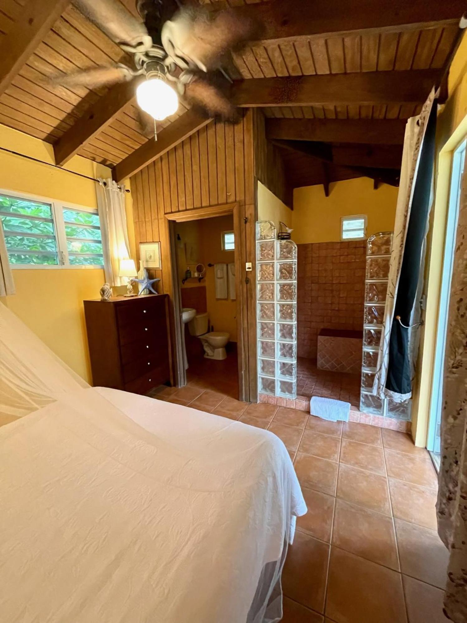 Esperanza Inn Guesthouse (Adults Only) Vieques Rum bild