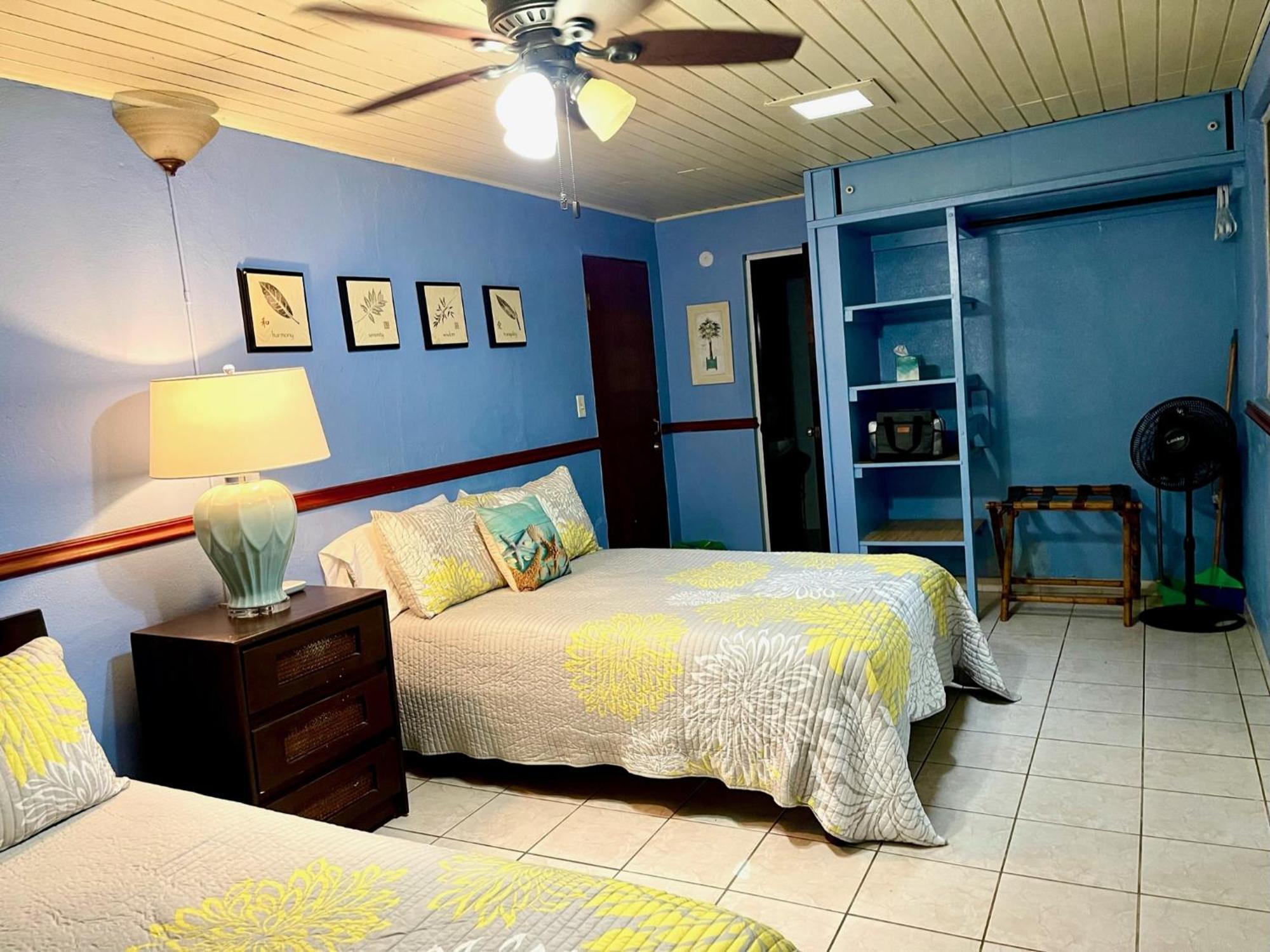 Esperanza Inn Guesthouse (Adults Only) Vieques Rum bild