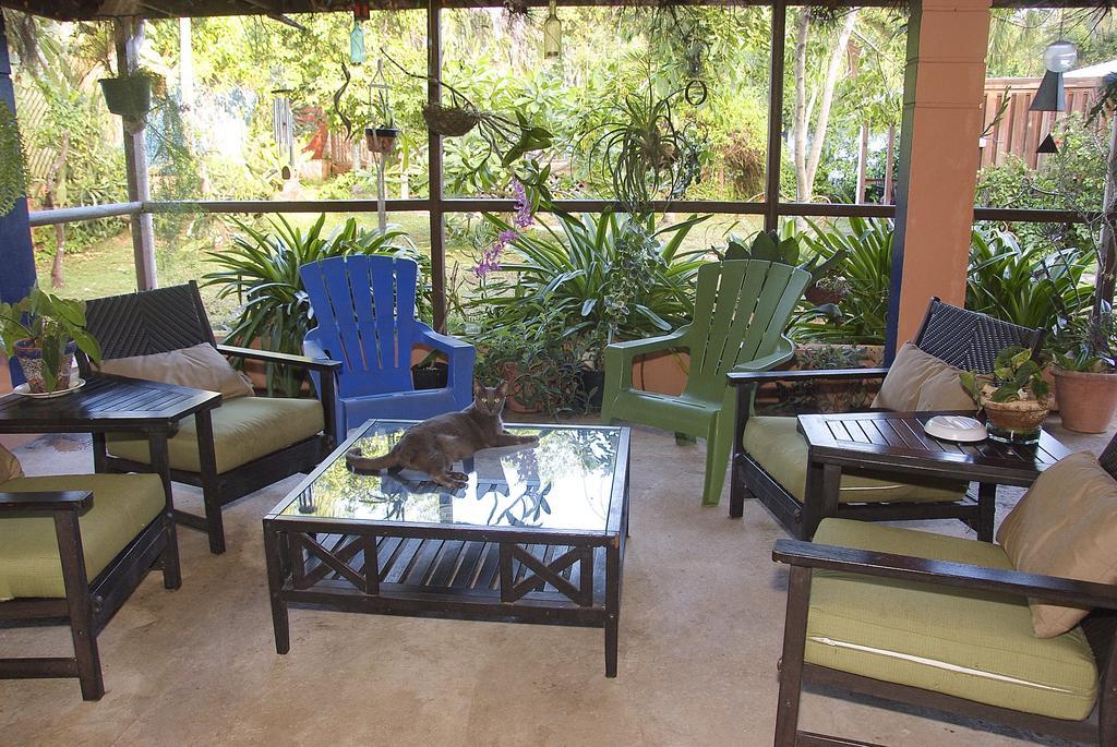 Esperanza Inn Guesthouse (Adults Only) Vieques Exteriör bild