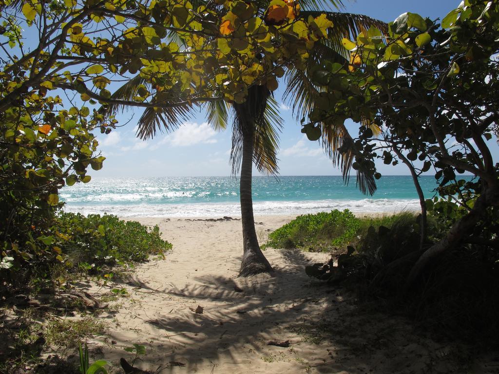 Esperanza Inn Guesthouse (Adults Only) Vieques Exteriör bild