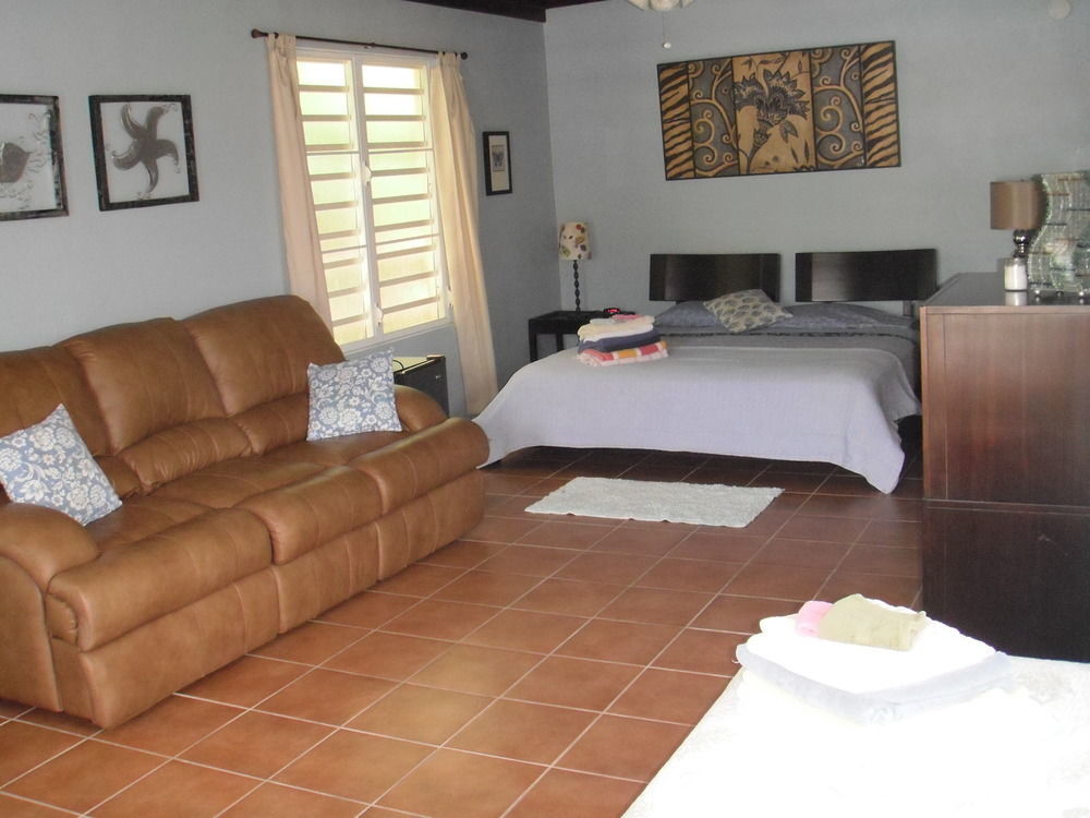 Esperanza Inn Guesthouse (Adults Only) Vieques Exteriör bild